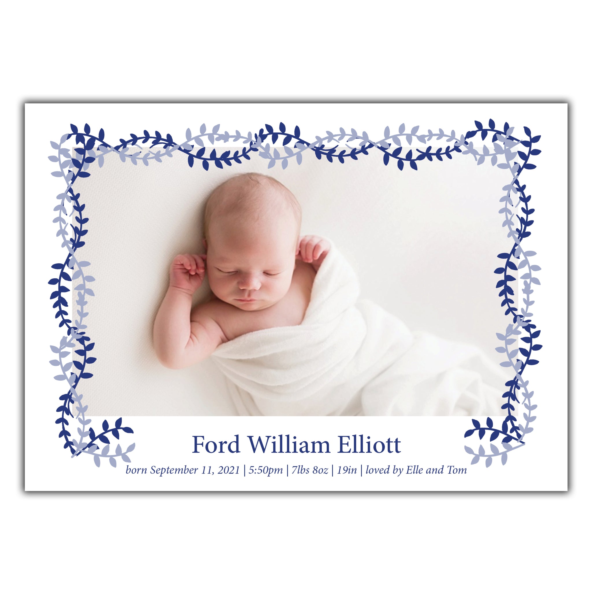 Blue Vine Birth Announcement