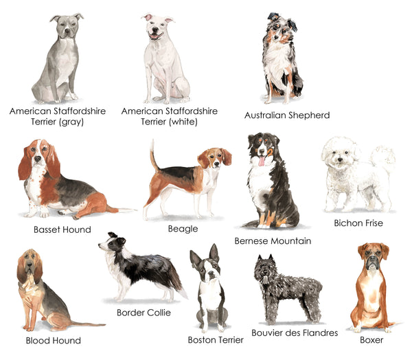 Terrier Dog Breeds List With Pictures | pangraph.com.ec